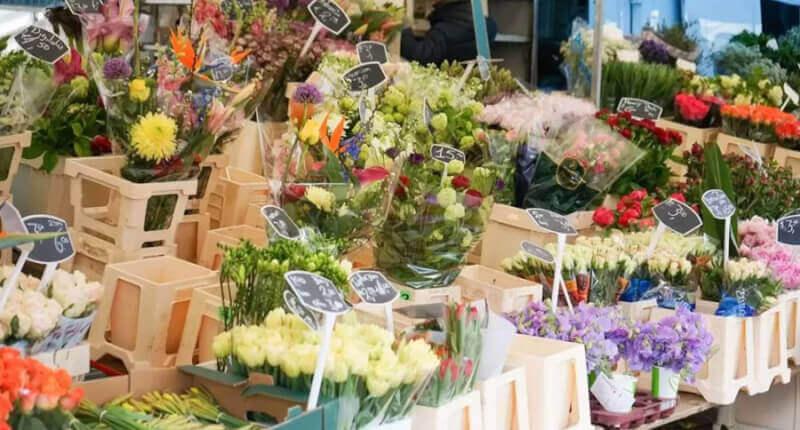 Flowers Websites - Design Inspirations