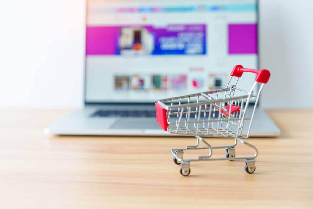 Shopify Websites in India