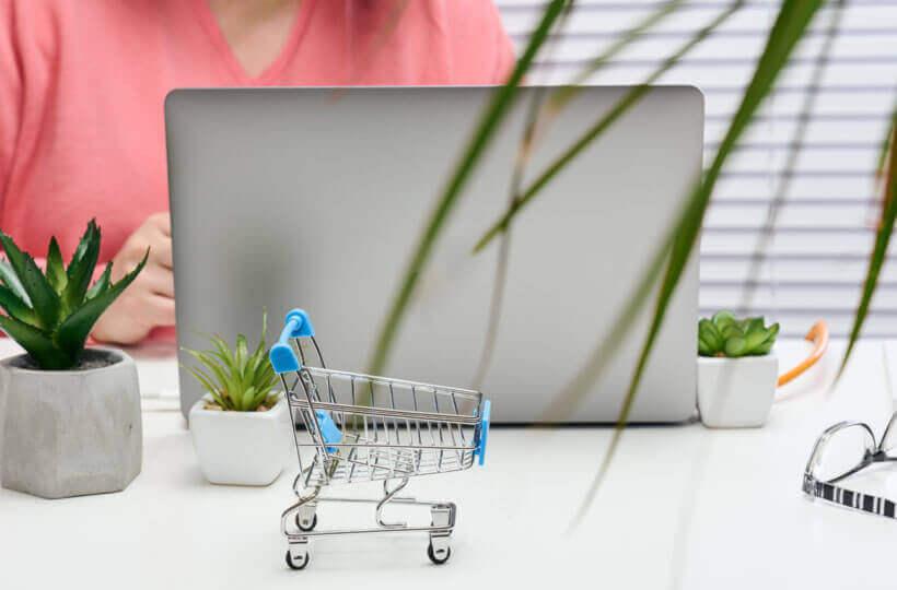 Ecommerce Management Services