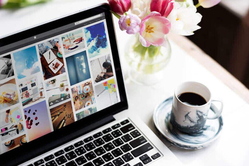 Website Designers