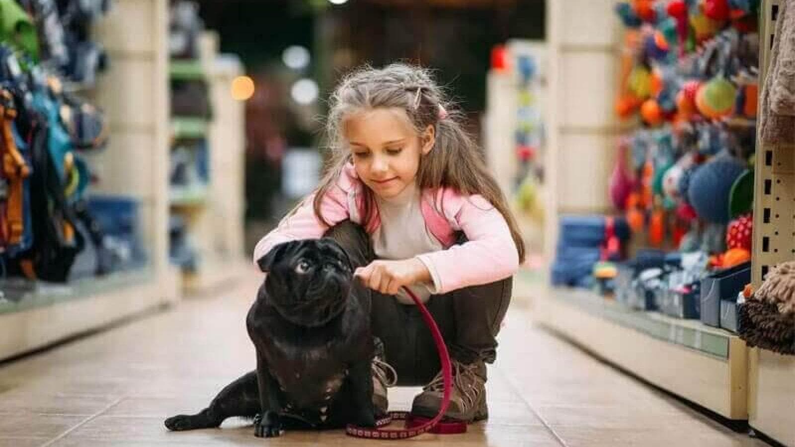 Pet Shop-Design Inspirations