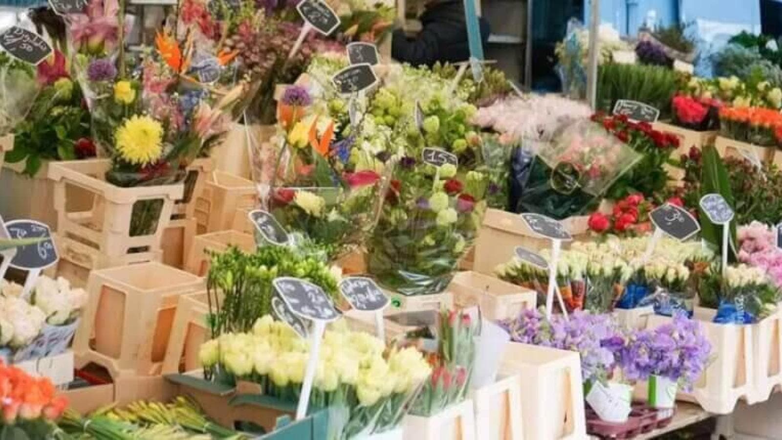Flowers Websites - Design Inspirations