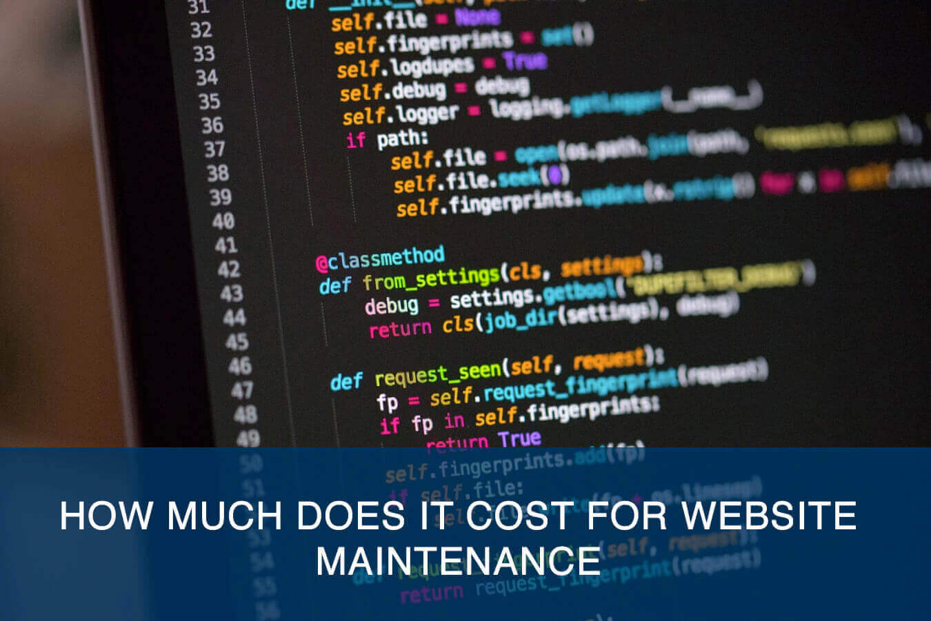 How Much Does It Cost For Website Maintenance?