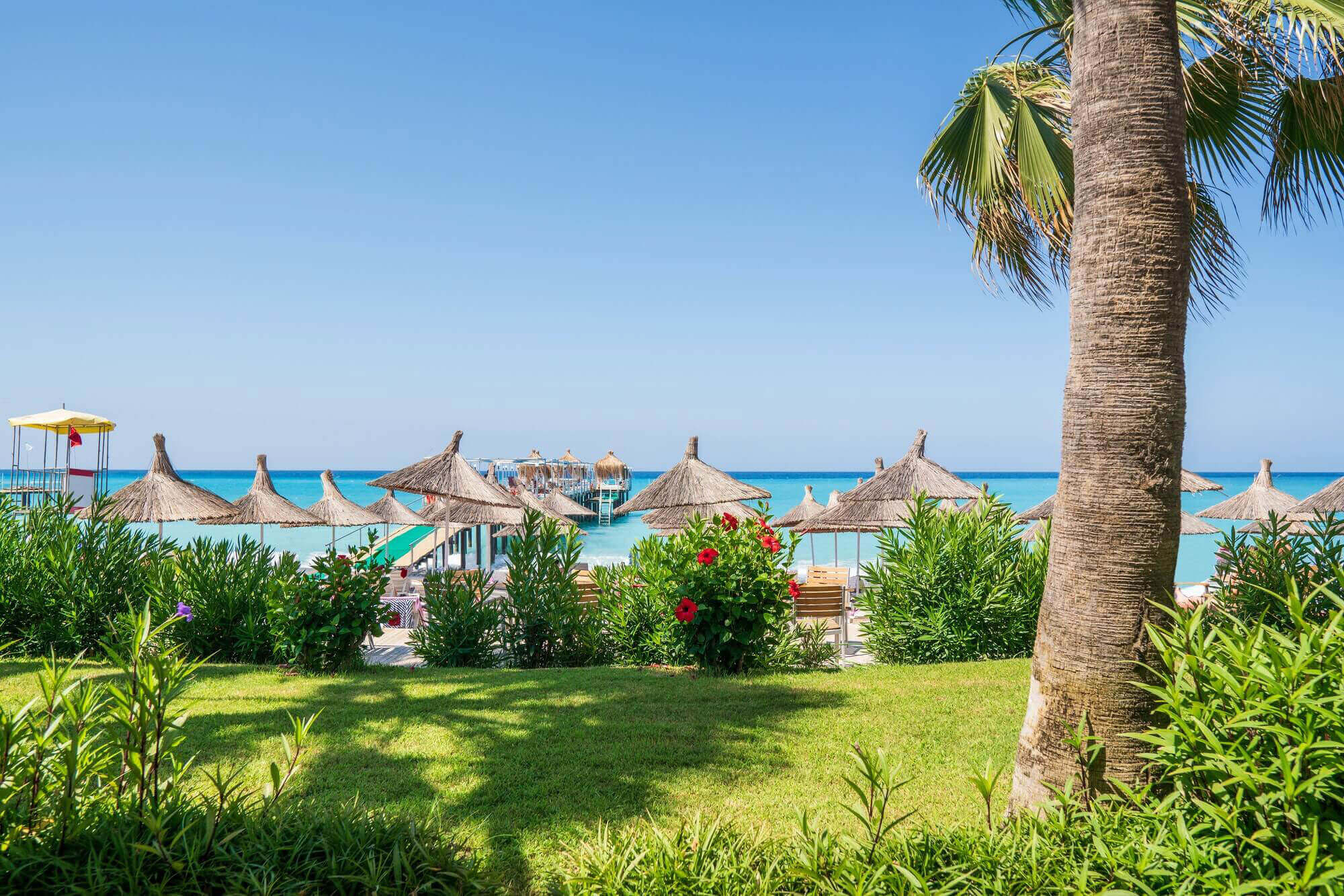 Best Travel and Tourism Website Design