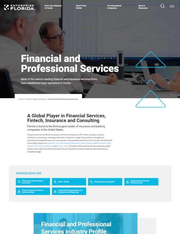 Financial and Professional Services Industry